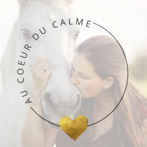 au coeur du calme